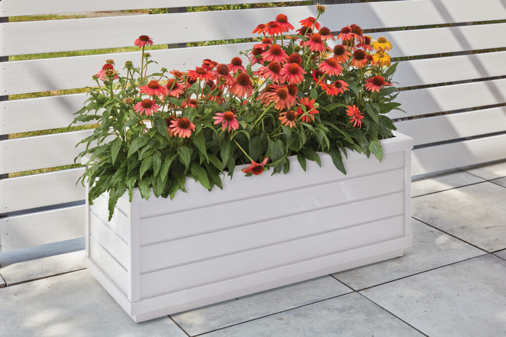 Planters and Window Boxes